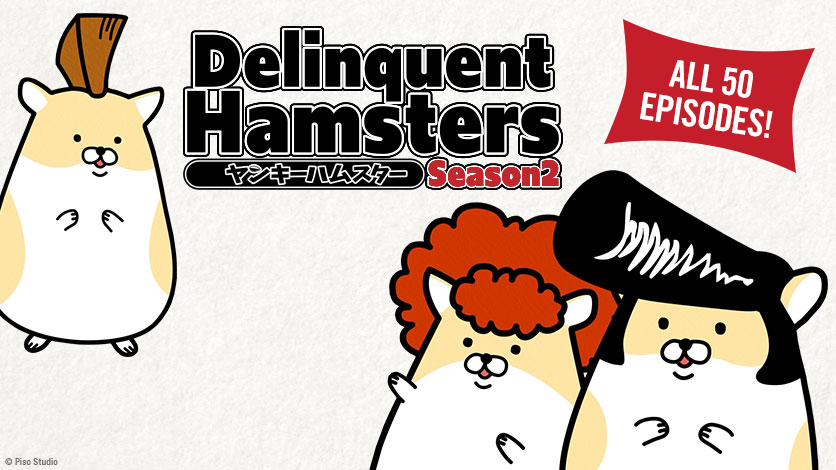 ヤンキーハムスター 公式 Yankeehamsters Twitter