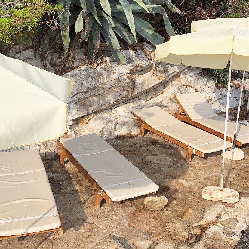 .scott thomas. tweet media