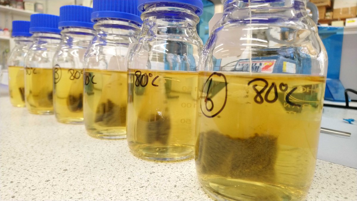 TeTrimTeas's tweet photo. Getting close! Thanks to @AberInnovation @FutureFoodWales our first slimming tea is ready for trials to see how much it improves gut bacteria
🙌����🫖
Bron yna! Edrych ymlaen at y cam nesaf a gobeithio cymysgu a gwerthu yn ddiweddarach eleni 🤞
#MadeInWales #HealthTeas #TeCymru https://t.co/qiQxRjYX5U