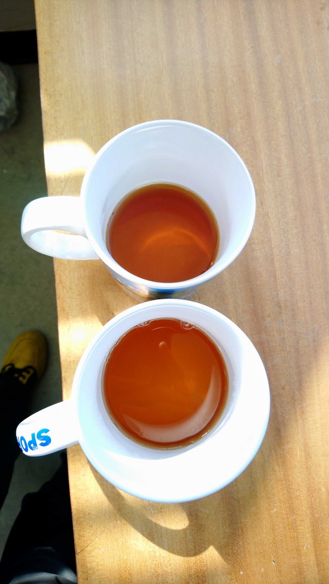 Getting close! Thanks to @AberInnovation <a href="/FutureFoodWales/">Future Foods</a> our first slimming tea is ready for trials to see how much it improves gut bacteria
🙌🍵🫖
Bron yna! Edrych ymlaen at y cam nesaf a gobeithio cymysgu a gwerthu yn ddiweddarach eleni 🤞
#MadeInWales #HealthTeas #TeCymru