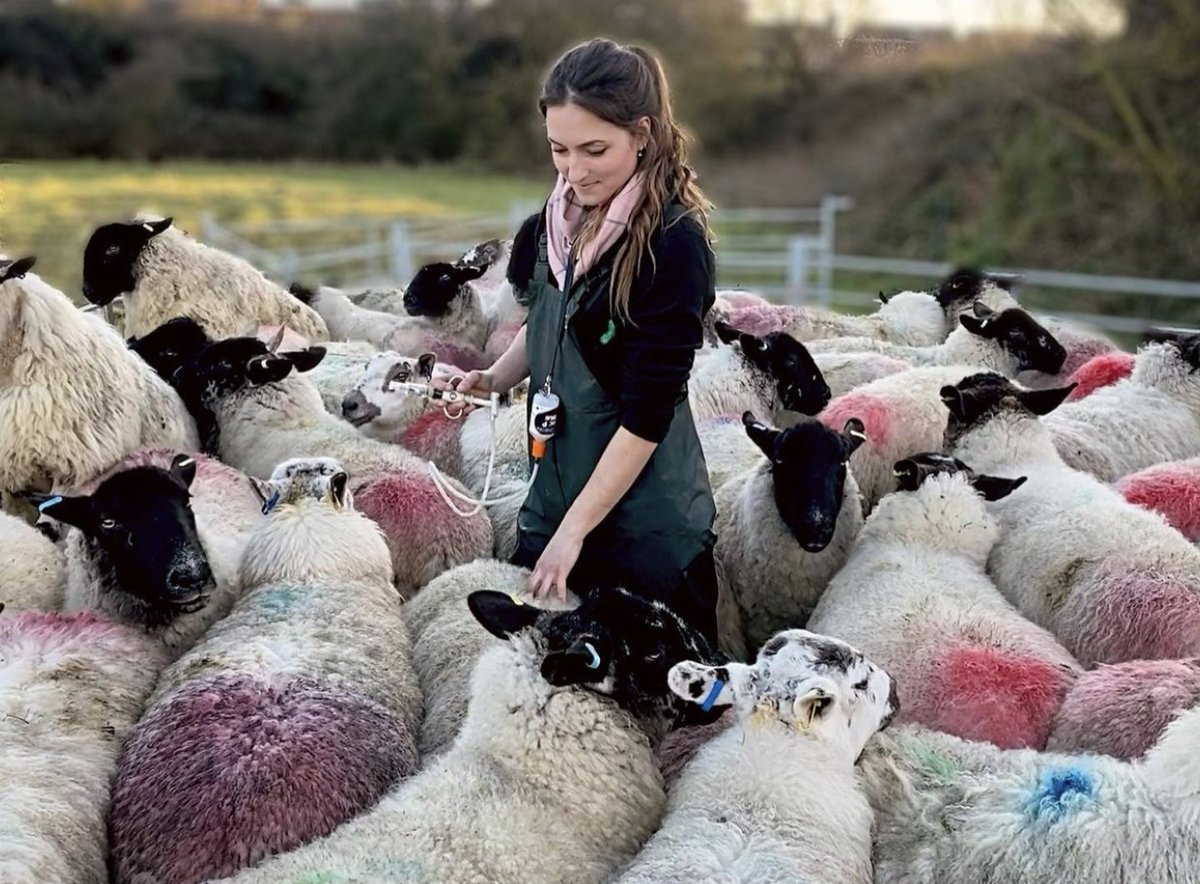 consumerbranduk's tweet photo. The spotlight is on the next generation of farmers! Beth started farming during the first lockdown a year ago, and now has won an industry award for her work! It's fantastic to see new British farmers emerging in the industry! 
Awesome work and shots from IG/shepherdes_beth https://t.co/UqqnV5nNdX