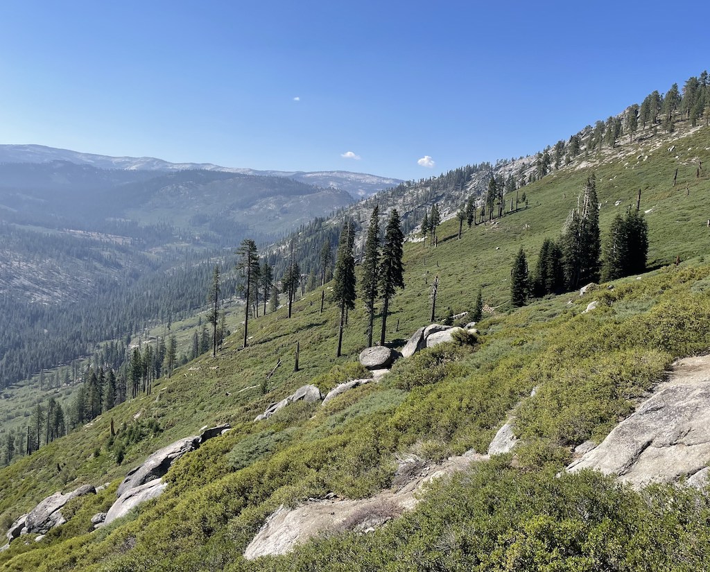 GLOBEProgram's tweet image. #Trees are #LandCover. The location of trees &amp;amp; forests is vital for land cover, land use classification, &amp;amp; for monitoring changes in Earth’s ecosystems. Learn why your @NASAGO land cover observations are important: bit.ly/2vARwWx  #GLOBEObserver #CitSci #CitizenScience