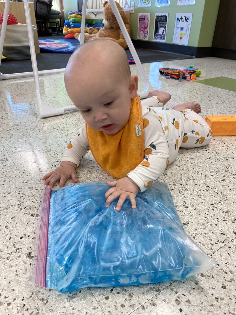 Emily Wieland tweet media