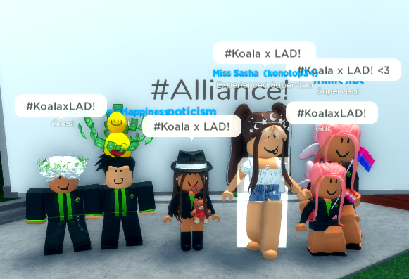 Koala Cafe tweet media