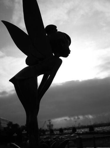 - Campanilla: ¿Por qué no puedo volar? le pregunta a Peter Pan.

-  Para volar necesitas encontrar tus pensamientos felices.

(James Barrie)