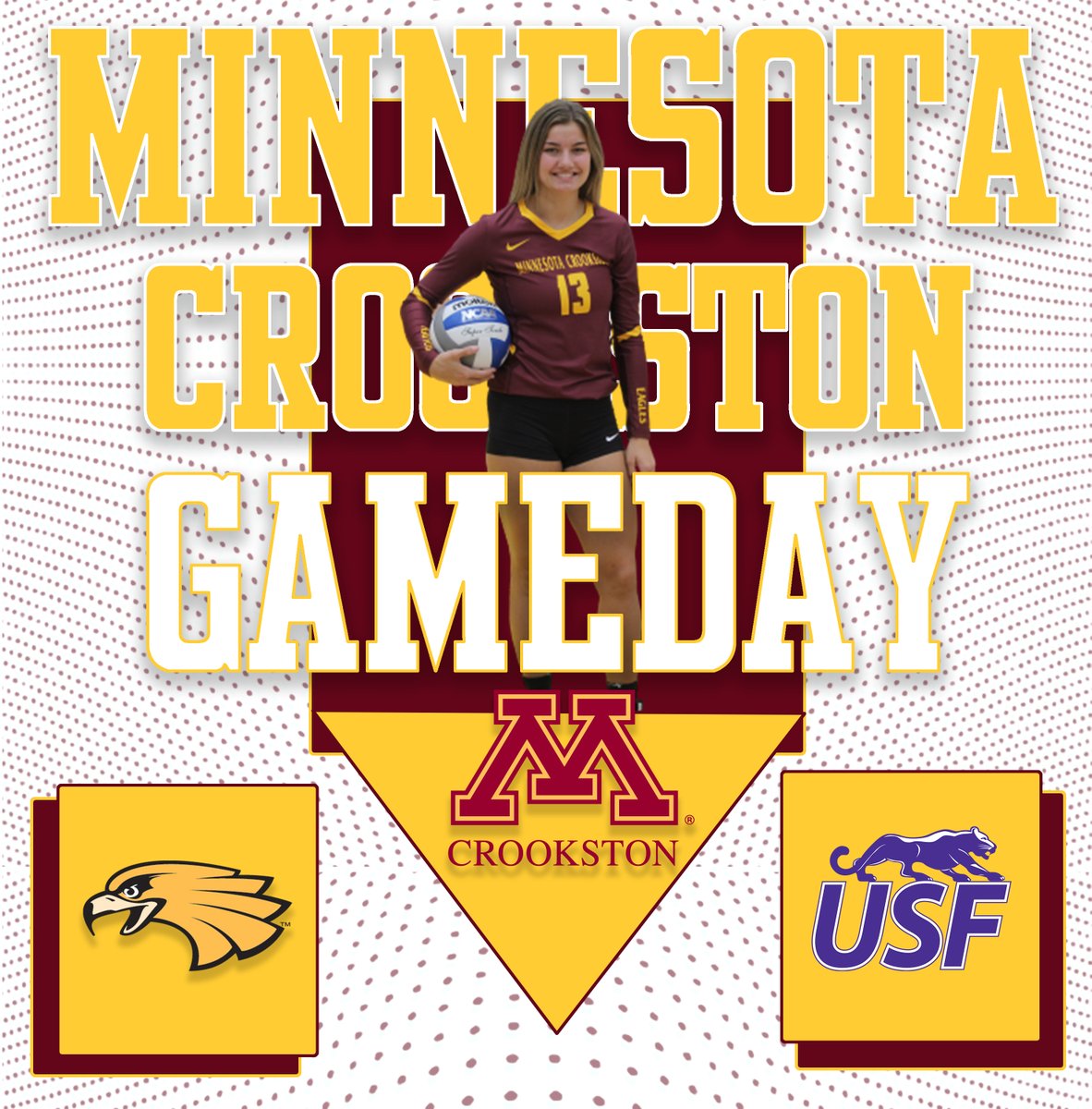 UMNCrookstonATH's tweet photo. The @mncrookstonvb team hosts their first regular-season game since 2019 tonight at Gary Senske Court at Lysaker Gymnasium!!

🆚Sioux Falls
⌚️6 p.m.
📍Gary Senske Court at Lysaker Gymnasium
📱https://t.co/ECR1IBuEQL
📶https://t.co/YxYFcANuGZ

#WingsUp https://t.co/PW0VumW3KT