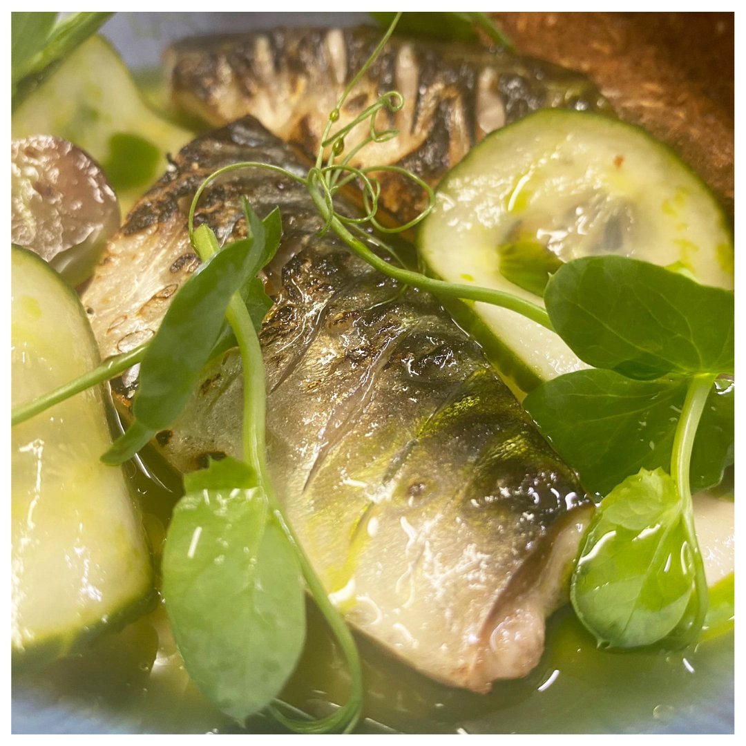 Looking for a light lunch or delicious starter?
Try our Grilled mackerel with mackerel Pate and cucumber apple.

🍴Full Menu: bridgefoothouse.ie/lunch-evening-…
🍴Reservations: 071 914 1716

#bridgefoothouse #starter #lunch #sligofood #sligorestaurant
