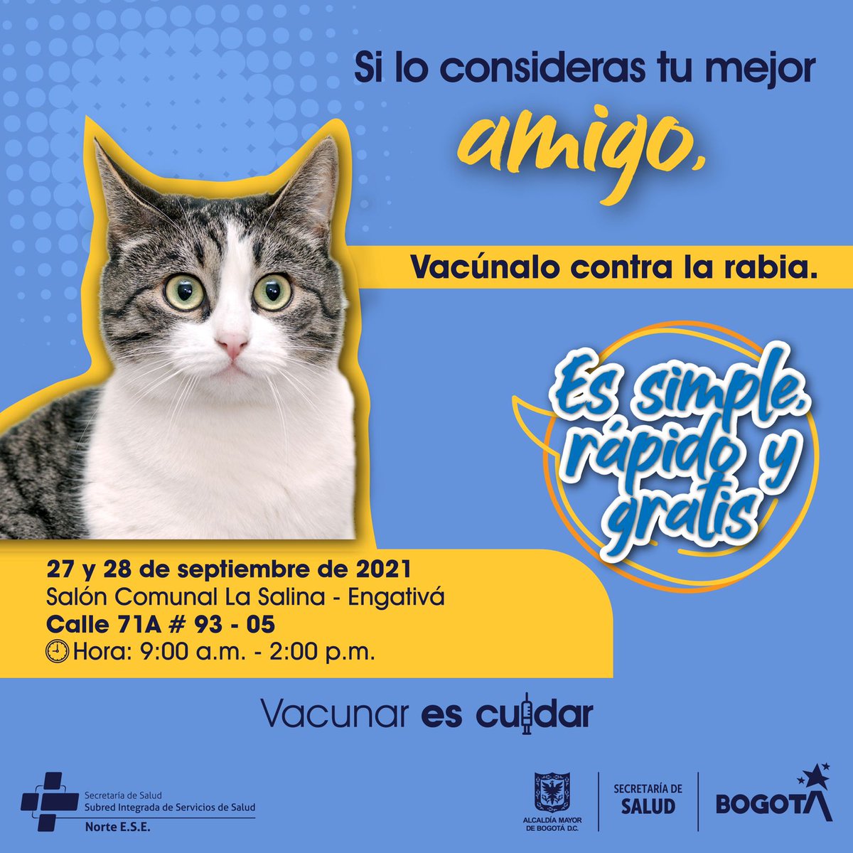 Equipo Callejeritos tweet media