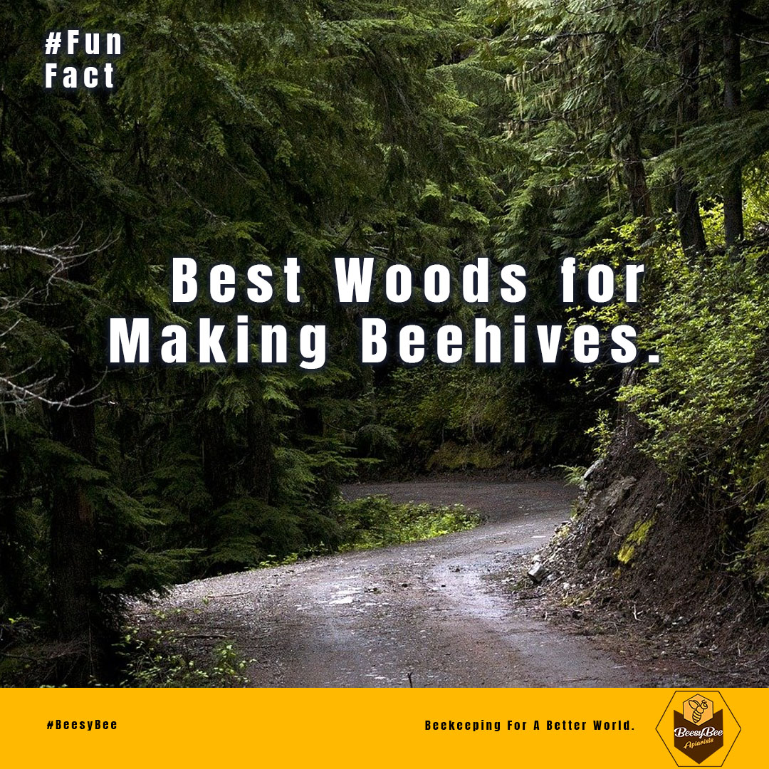 BeesyBApiarists's tweet photo. Pine, cedar, grevillea , and cypress are common woods used for bee hives. All woods have their advantage and disadvantages especially when choosing which to use during making of beehives beekeeping farming. https://t.co/X3mTN4Ql5z