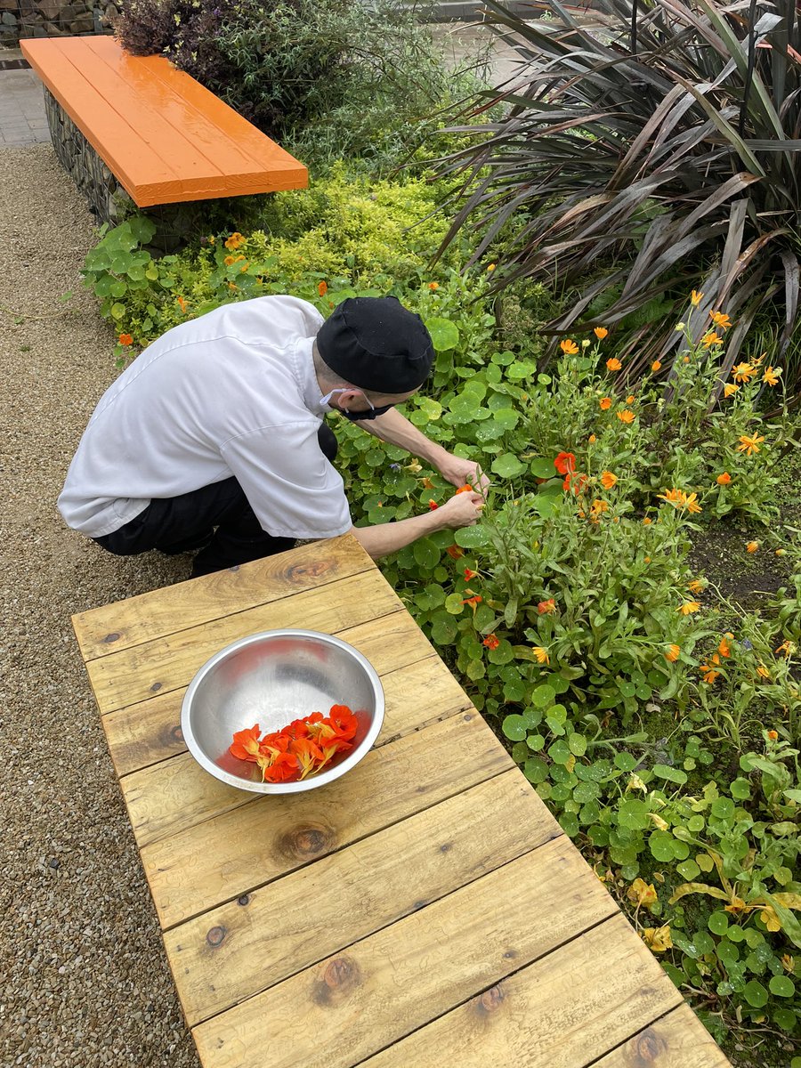 Derek, one of our amazing chefs out harvesting some edible flowers 🌸 #goodfood #foodie #waterford #eatlocal
