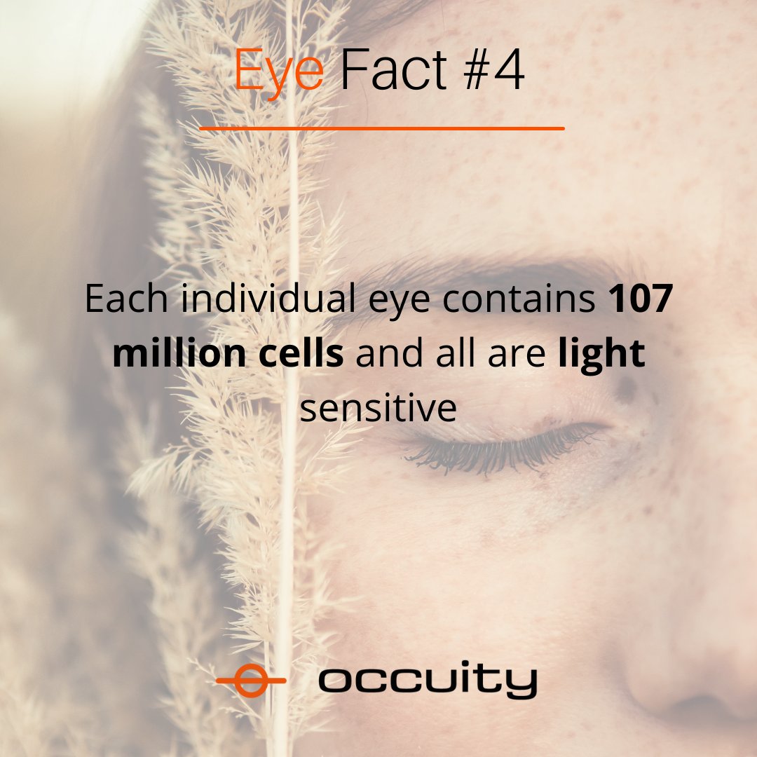 occuity's tweet photo. Our eyes are a connection to the world around us.
Read more about the topic of eyes in this blog post-https://t.co/rgjQuvR4I7
#occuity #healthcare #medtech #eye #optometry #ophthalmology #diabetes #alzheimers #screening #monitoring https://t.co/q1wnlOFu9z