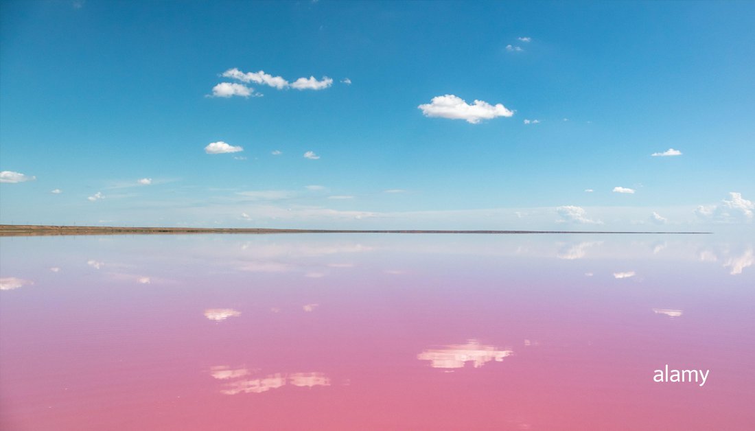 alamy's tweet photo. Colour harmonies are all around us. You’ve probably seen many examples of analogous colours without even realising.
Discover more: https://t.co/mjWGhWHdvz
#colour #aesthetic #colourharmonies https://t.co/NV7bu10pQo