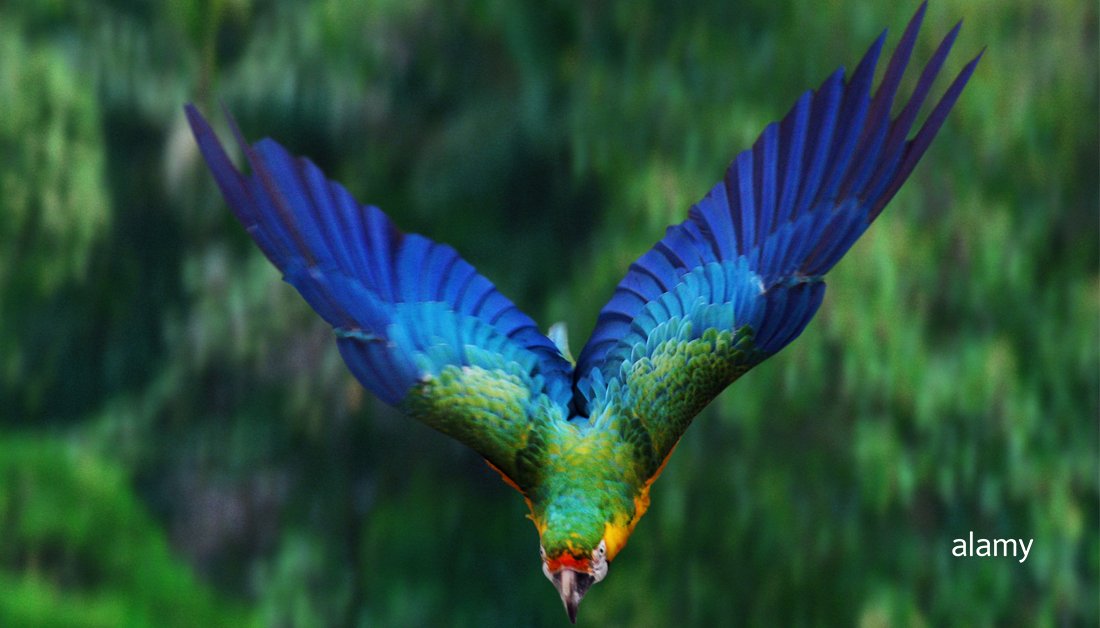 alamy's tweet photo. Colour harmonies are all around us. You’ve probably seen many examples of analogous colours without even realising.
Discover more: https://t.co/mjWGhWHdvz
#colour #aesthetic #colourharmonies https://t.co/NV7bu10pQo