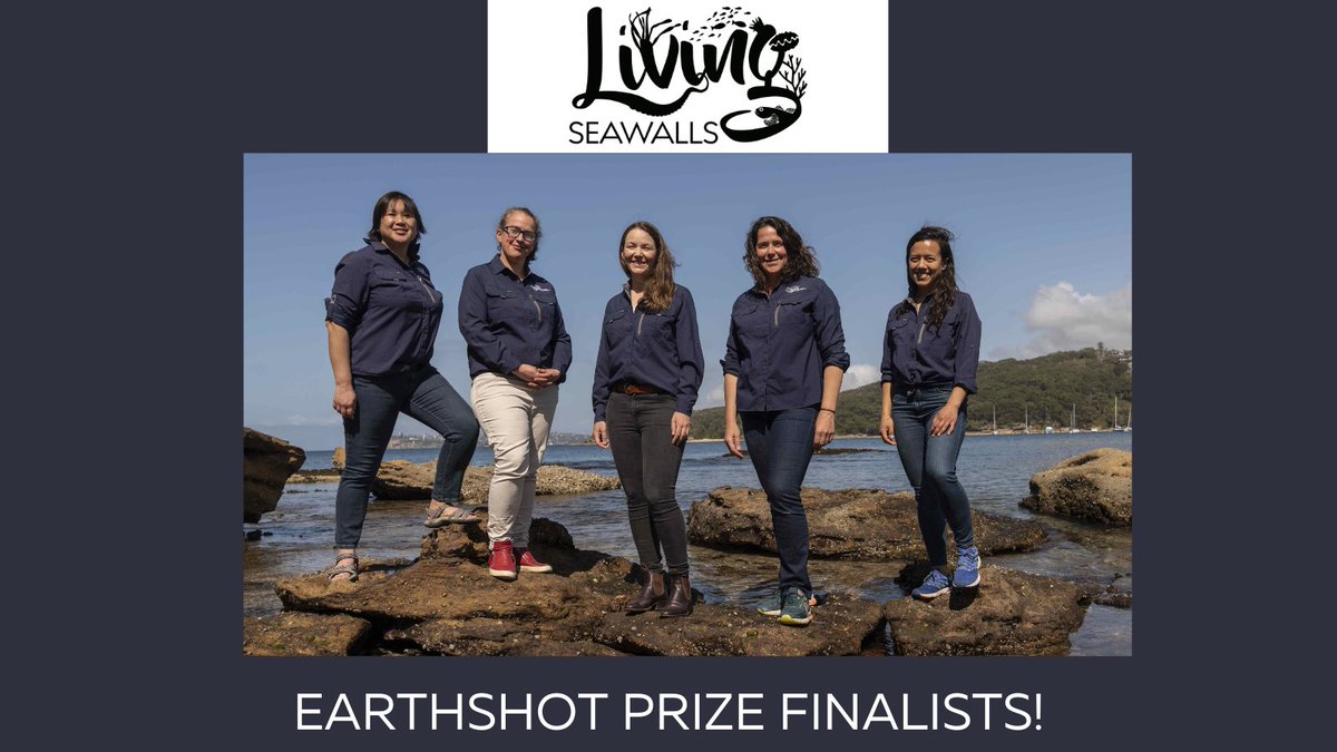 We are thrilled to announce <a href="/LivingSeawalls/">Living Seawalls</a> as a <a href="/KensingtonRoyal/">The Prince and Princess of Wales</a> <a href="/EarthshotPrize/">The Earthshot Prize</a> finalist - one of only three in the 'Revive our Ocean' category! A massive achievement and recognition of the project's commitment to designing with nature in mind. 

#EarthshotPrize #MyEarthshot
