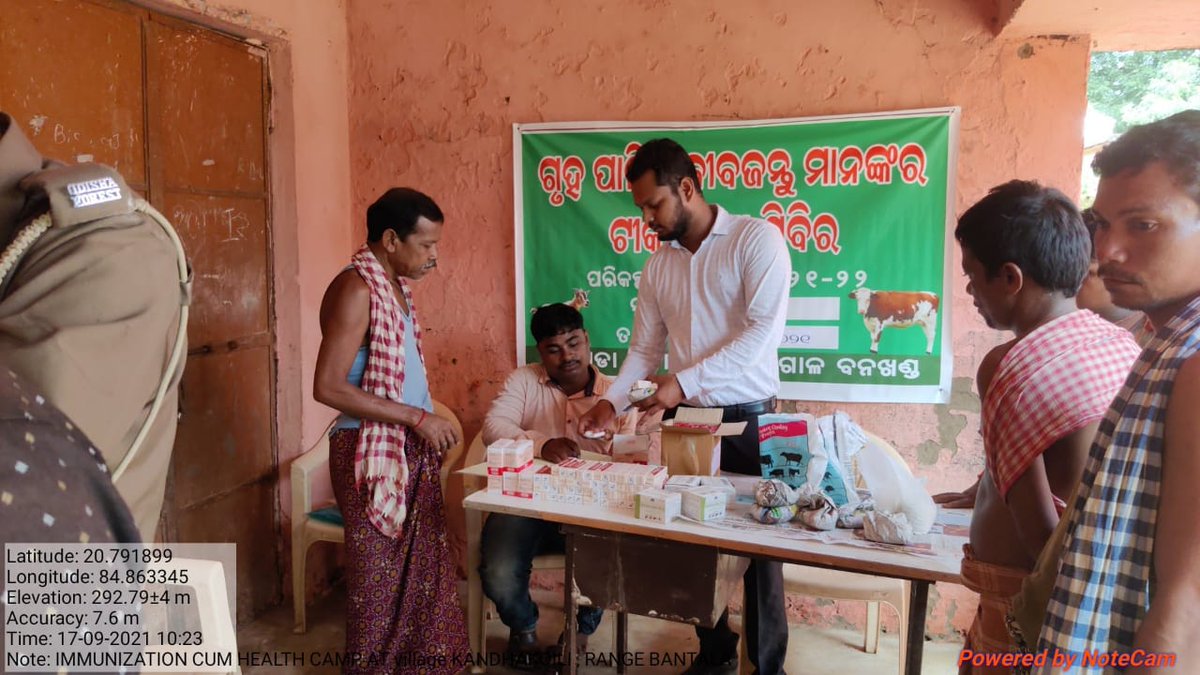 dahvsodisha's tweet photo. Veterinary Doctors use to brave adverse conditions in reaching livestock farmers of the state. Dr Millon Rout &amp; staff of F&amp;ARD Dept. braved the road cut-off and delivered livestock healthcare services in Kandhakoili, Angul @CMO_Odisha @dr_arunsahoo @SecyChief @ApcOdisha @farddept https://t.co/uYb7P9tNFx