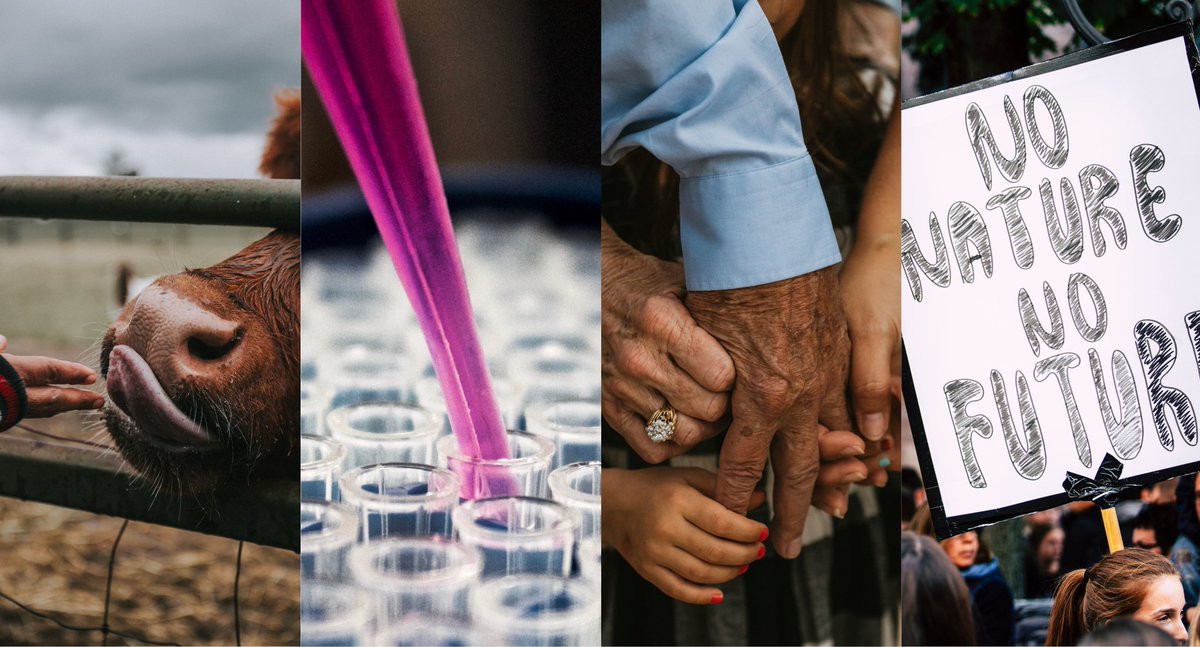 CFP for conference Reproductive Futures: Emergent Injustices, Hopes and Paradoxes #reprofutures2022 (15-17 Jun, 2022 @TampereUni) now open (DL 15 Dec)! Check out our exciting confirmed keynote speakers and programme on the conference website events.tuni.fi/reprofutures20…