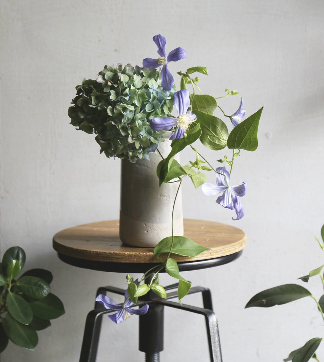 霽れと褻 Faretoqe Twitter