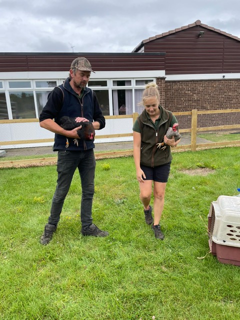 BCA_Maidenhead's tweet image. The 2nd Sept was an exciting day for our Agriculture team &amp;amp; @FoxboroughSch - We settled 2 of our Pygmy Goats &amp;amp; 4 Chickens into their temporary term-time homes. Our Livestock team, Chris &amp;amp; CJ gave extensive training on caring for the new additions &amp;amp; will remain on-call to help out
