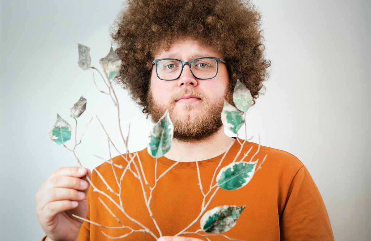 Bird's nests made out of plastic fake plants?! 🌿Not sure if this discovery is hilarious or a really sad one. But my new publication, 'Birds using artificial plants as nesting material', is out now.  #Anthropocene
brill.com/view/journals/… (open access!)