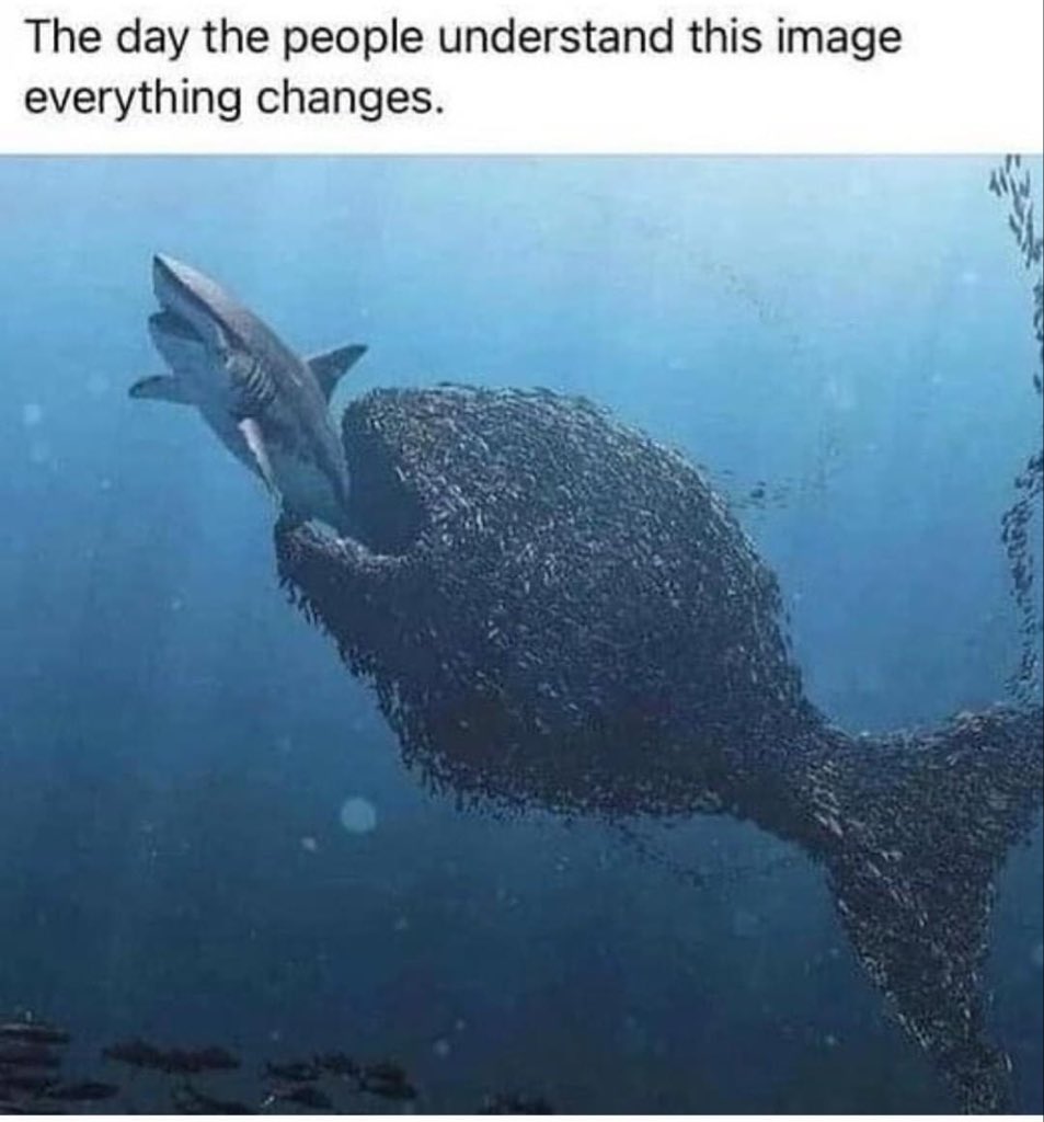 Remember folks, United we stand 🇺🇸🙏🏻
#BigGovSucks #Biden #GodBlessAmerica #FuckBiden #Covid #COVID19 #FBiden #CovidVaccine #VaccinePassports #vaccination #vaccine