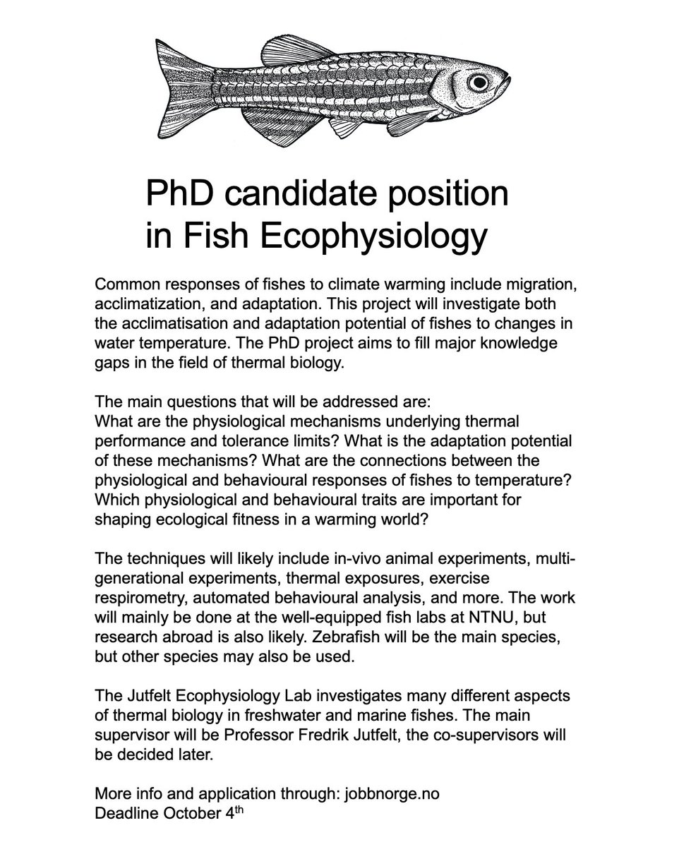 📢 PhD position announcement 📢

Fully financed PhD student position in fish ecophysiology. Thermal acclimation and adaptation in fish, physiology and evolution. Great university, great salary, great team!

Please retweet! 

More info and application:
jobbnorge.no/en/available-j…