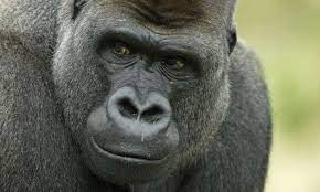 不穏のtwitterイラスト検索結果