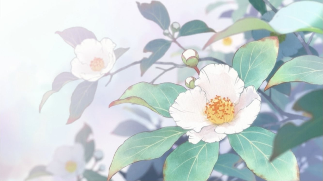 Tsun 平家物語 1話 花言葉 夏椿 沙羅の木 はかない美しさ 愛らしさ ヤツデ 分別 親しみ 健康 椿 控えめな素晴らしさ 気取らない優美さ 1 2 T Co Lvq2g5wkmm Twitter