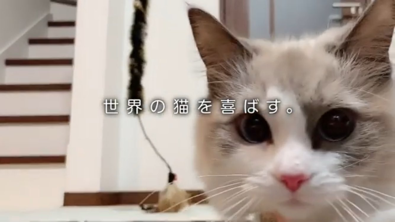 坂口 隼人 21年夏ciaoちゅ るcm なかよしちゅ る篇 T Co 448s8lqoxk 最後のみるくちゃんかわいすぎて何回も見てしまう T Co J2vopbihlb Twitter