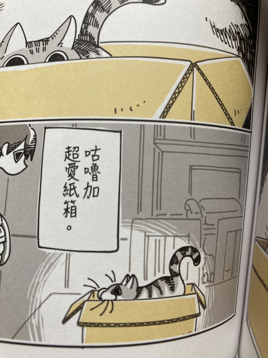 夜は猫といっしょの台湾版見本も頂きました
翻訳していただけてとても嬉しいです!キュルガってこういう字になるんだ
台湾の方に楽しんでいただけますように 
