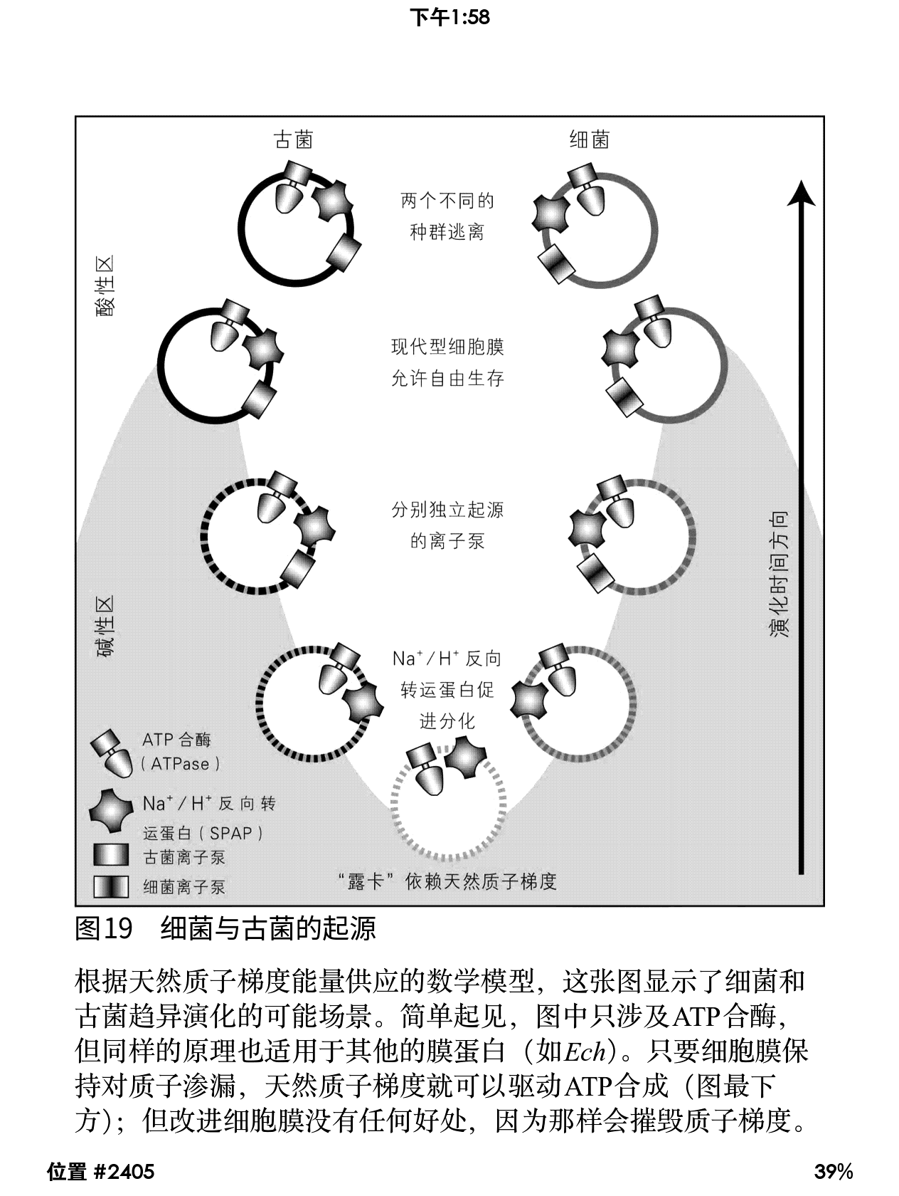 Reimu 今天面试的时候面试官问我怎么还对古生物学感兴趣 交流中还发现我俩都读过 复杂生命的起源 这本书 于是就扯了扯生命如何从海底大烟囱进化出 Reimu 今天面试的时候面试官问我怎么还对古生物学感兴趣 交流中还发现我俩都读过 复杂生命的起源 这本书 于是就扯了扯生命如何从海底大烟囱进化出