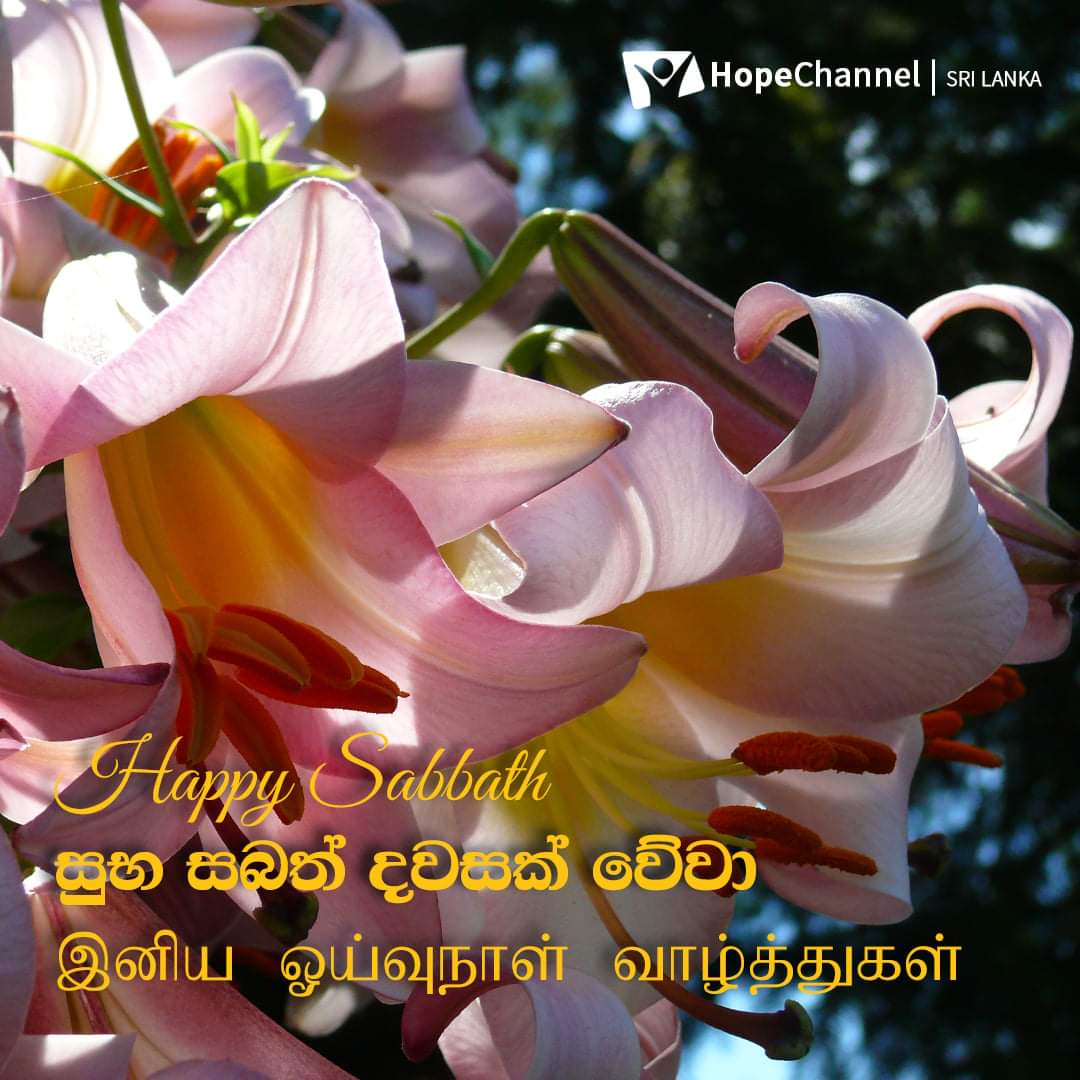 Happy Sabbath Hope Channel family! 
හොප් පවුලේ සැමට සුභ සබත් දවසක් වේවා!
ஹோப் குடும்பத்தினர் அனைவருக்கும் இனிய ஓய்வுநாள் வாழ்த்துக்கள்!
#HopeforSriLanka #HappySabbath #Beblessed #PraiseGod #Hope