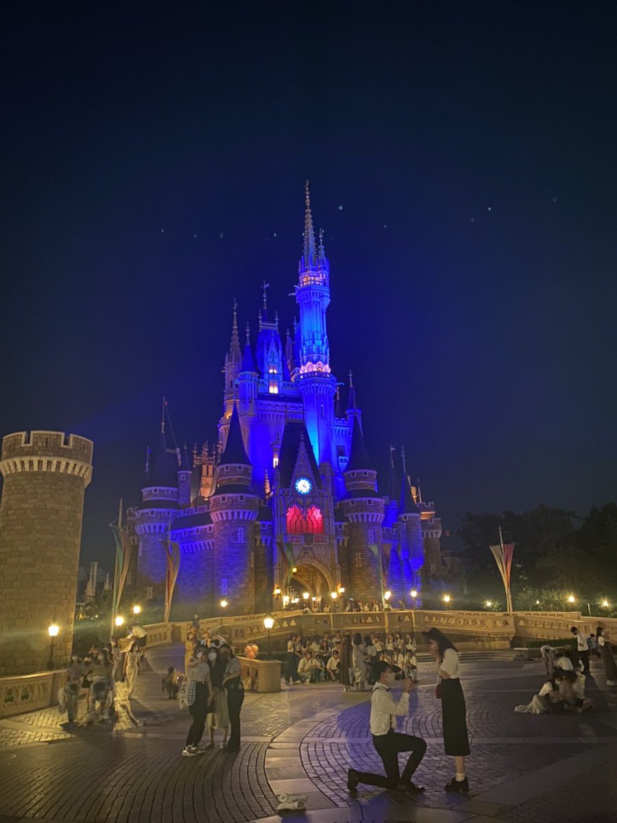 ディズニーランドでプロポーズ ディズニーランドでプロポーズ