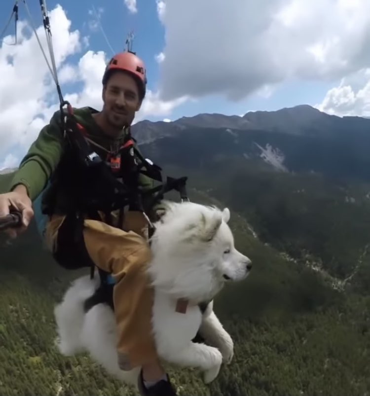 คนนี้เค้าพาหมาไปเล่น paragliding ป้ะ แต่พอมองมุมนี้เหมือนเค้าขี่หมาวิเศษอ่ะ หมาบินได้อ่ะ 5555555555555 fantastic beasts and where to find them มาก