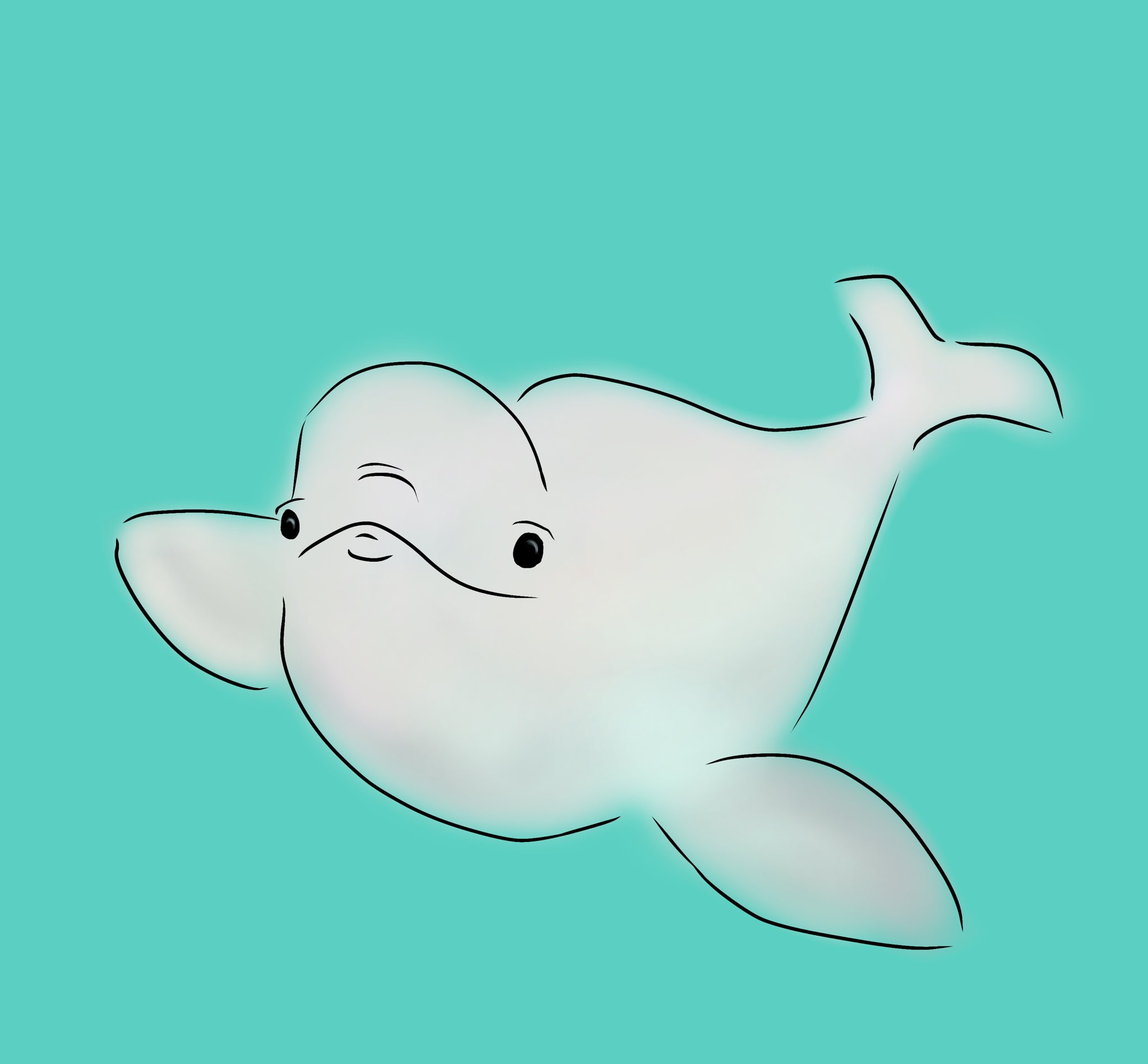 ふみきなろじ 水族館にも行きたい 癒されたい 旅に出れるようになったら会いに行きたいなー ラクガキ シロイルカ ベルーガ イラスト 動物イラスト T Co Iioo43a7vy Twitter
