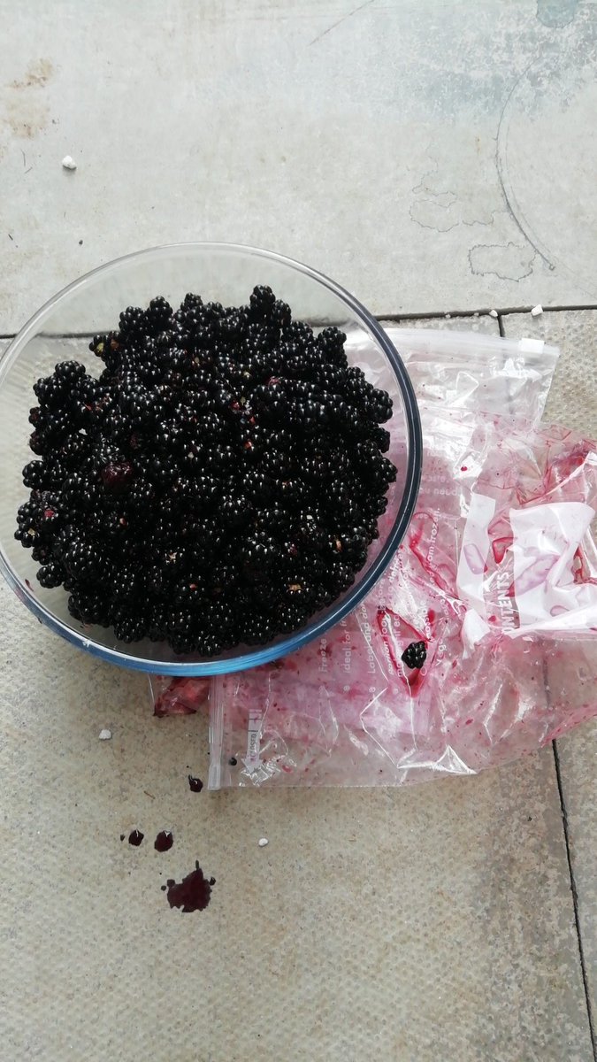 Cat Mackay Community Arts (MackayArts) Twitter