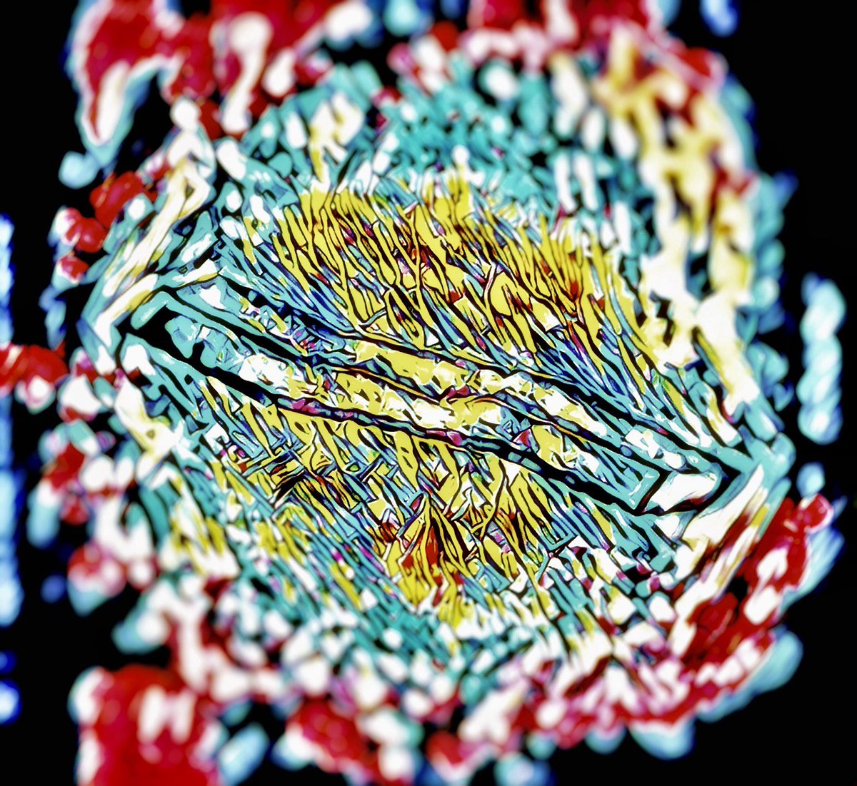 mikesdinner's tweet photo. @etherfries Fry-Pop-Art 😂🍷 https://t.co/zoTYccosS8