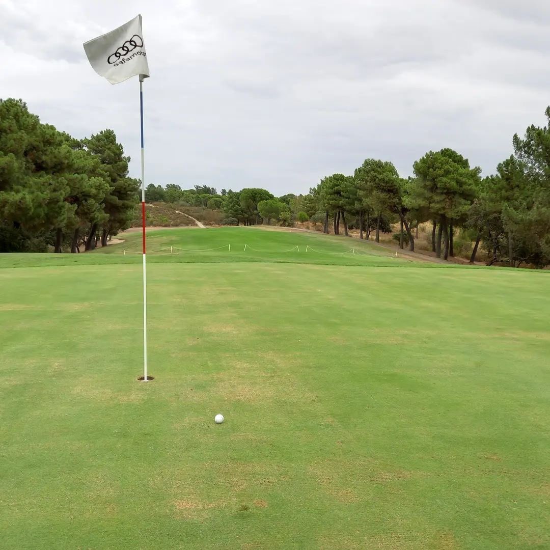 Golf in Andalucia tweet media