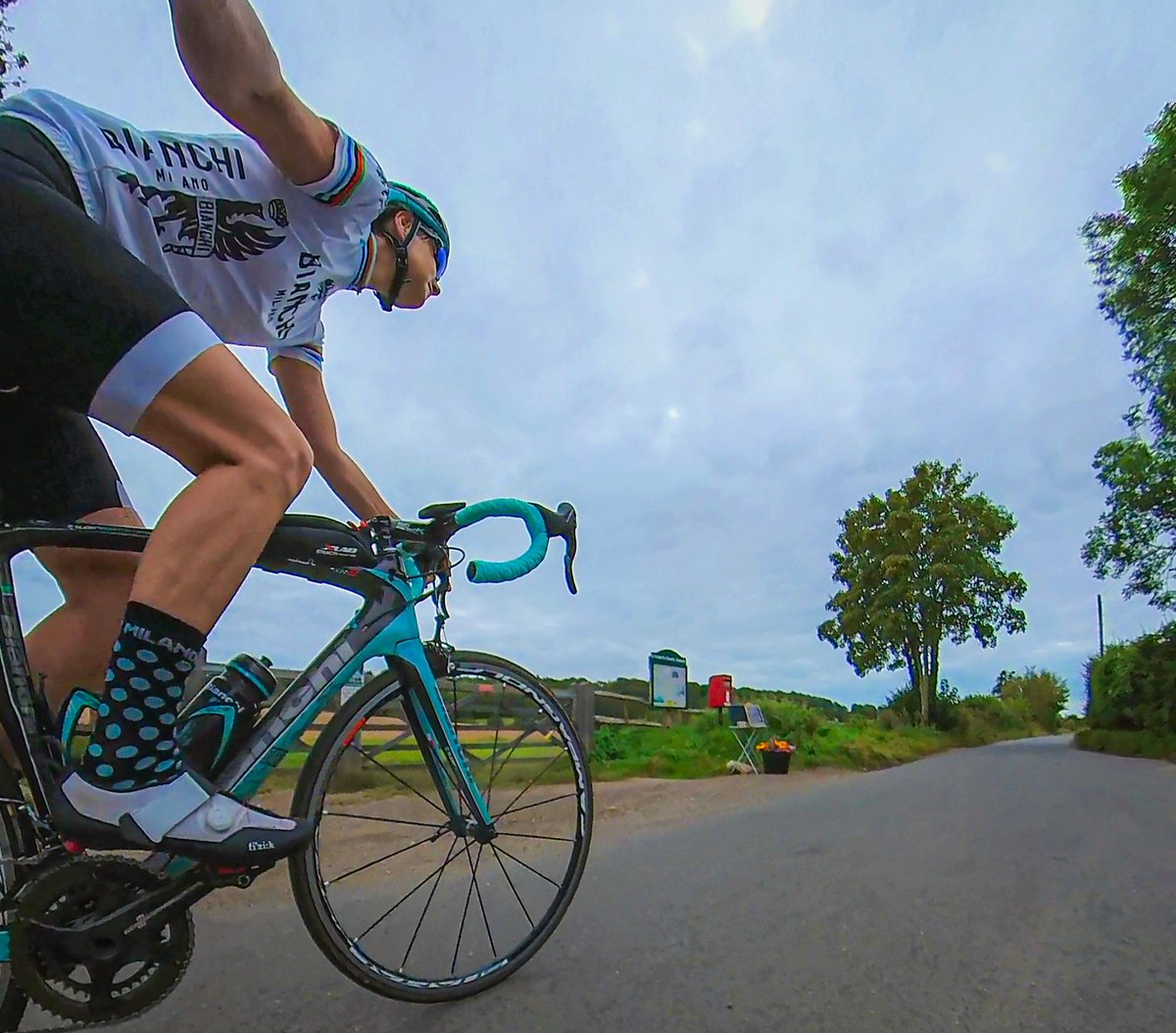 ✨ Christina Dove 🕊 tweet media