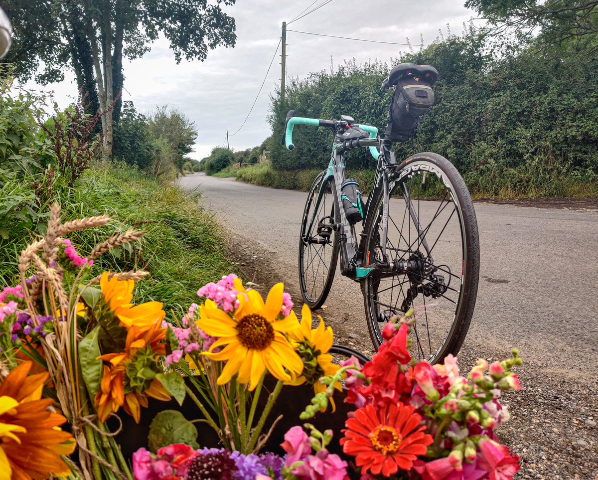 ✨ Christina Dove 🕊 tweet media