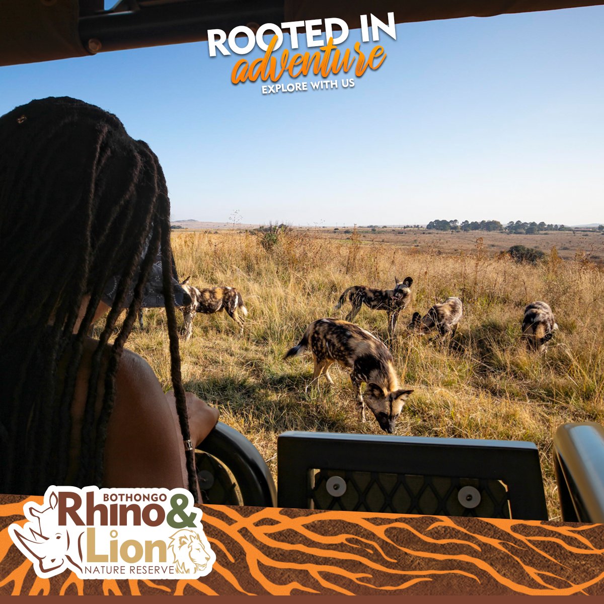 RhinoandLionSA's tweet photo. Payday weekend's around the corner, enjoy an experience #RootedInAdventure & plan a safari outing with a guided game drive π¦π¦πΎ Fun for friends & family, there's something for everyone! See our game drive pricing options & get your entrance tickets π https://t.co/1voUvVHpcr https://t.co/l9FVFUCTto