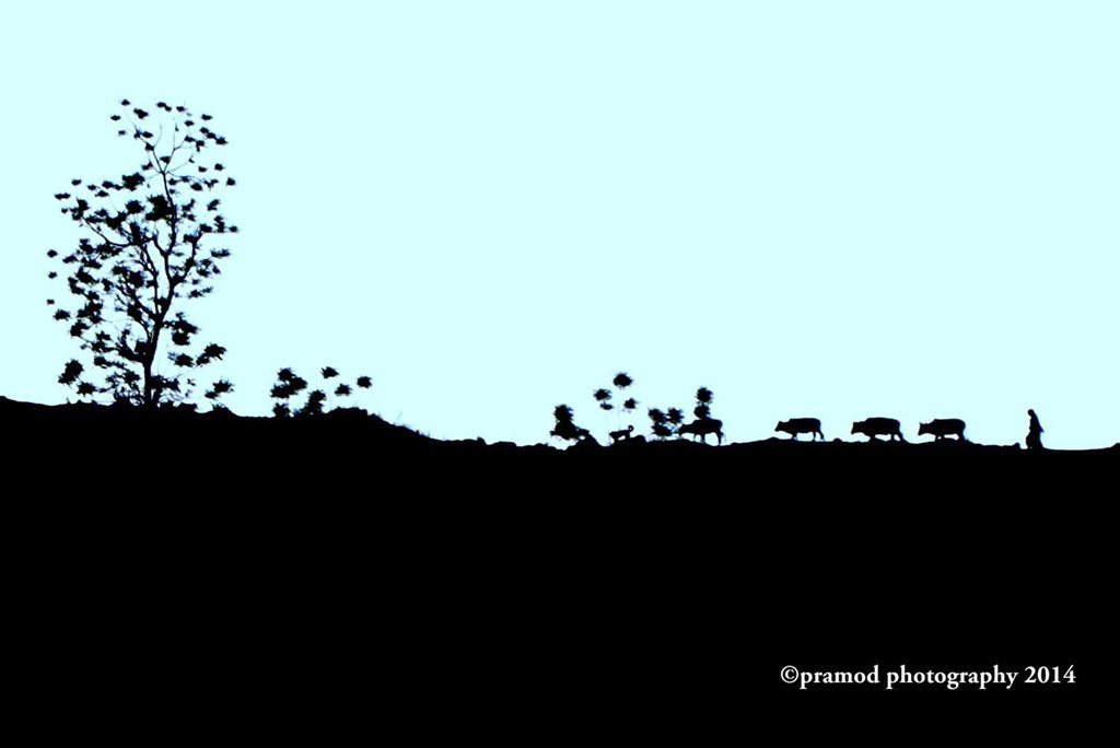 यात्राहरु धेरै गरिन्छ, यात्राको समयमा धेरै कुराहरुले मन छोएको हुन्छ (सुखका, दुखका आदि) । कयौं मनहरुलाई क्यामेरामा कैद गरिन्छ । आफ्नै मनलाई छुने केहि हुन्छन् । ति मध्येको यो तस्विर- जस्ले #कर्णाली (मुगु) को सुन्दर कथा बोकेको छ । मेरो मनस्पटलमा सधैं बसिरहेको छ ।
[File Photo: 2014]