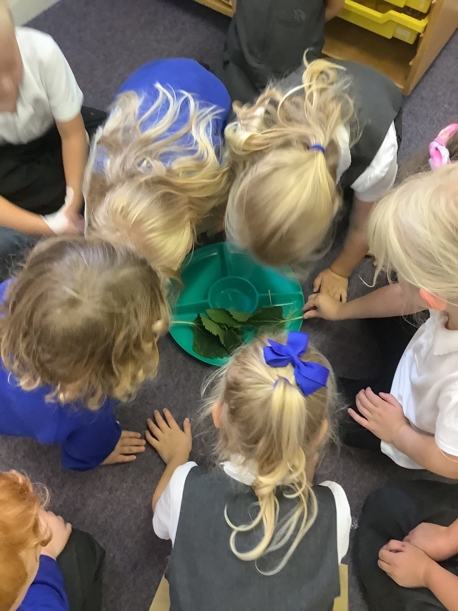 EYFS2020's tweet photo. This week we have been learning the sound ‘S’ Meet Syd the snail. https://t.co/zv6N1FljKr