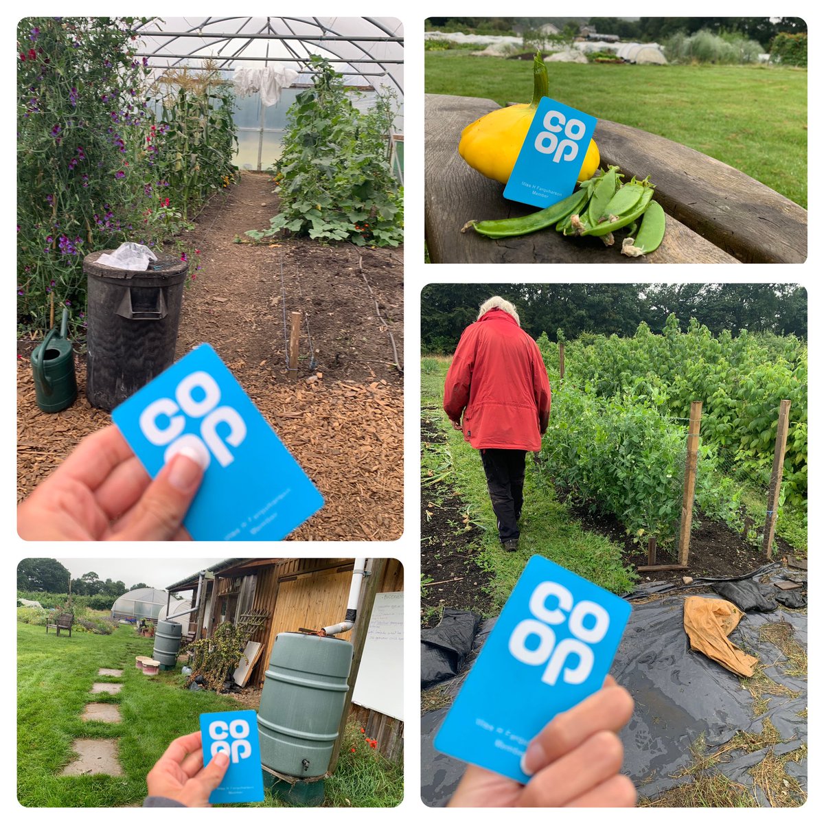 wellbeinghelen's tweet photo. Another uplifting visit🐝 🥰- checking in with FAB previous causes #Dunkled. If you’re a local cause (past/present) YOU MEAN SO MUCH 2 US! @coopuk @coopukpress #itswhatwedo 
@DunkeldField facilitates so many community benefits:
🌽 Veg growing 🥒 Learning new skills ✊ Teamwork https://t.co/y2egsY96Vq