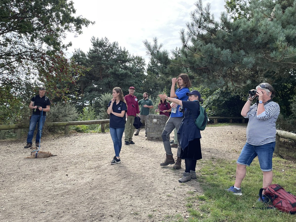 Birdwisenk's tweet photo. Exploring the beautiful Surrey Heaths as part of the annual #mitigationmeetup today. Fantastic to catch up with other mitigation partnerships #conservation #birdwise #nature #outdoors @TBHPartnership @BirdWiseEK @BirdAwareSolent @DorsetHeaths @sdnpa https://t.co/eTPL8y4EQ2