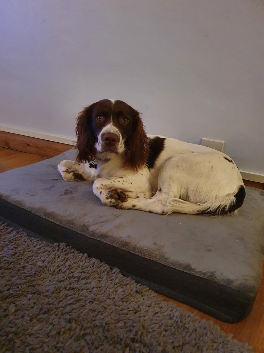 Natalie Dewhurst tweet media