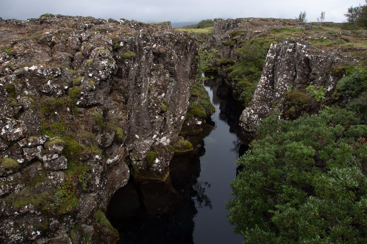 GeologistsCat's tweet photo. Today for #FridayFault the famous #Silfra extension #fault in #Thingvellir #Iceland some humans say it separates the American from the Eurasian plate or does it separate the American from the #Hreppar #microplate???
#GeologyWithCats #Geology #StructuralGeology #PlateTectonics https://t.co/oxVmEgAl1c