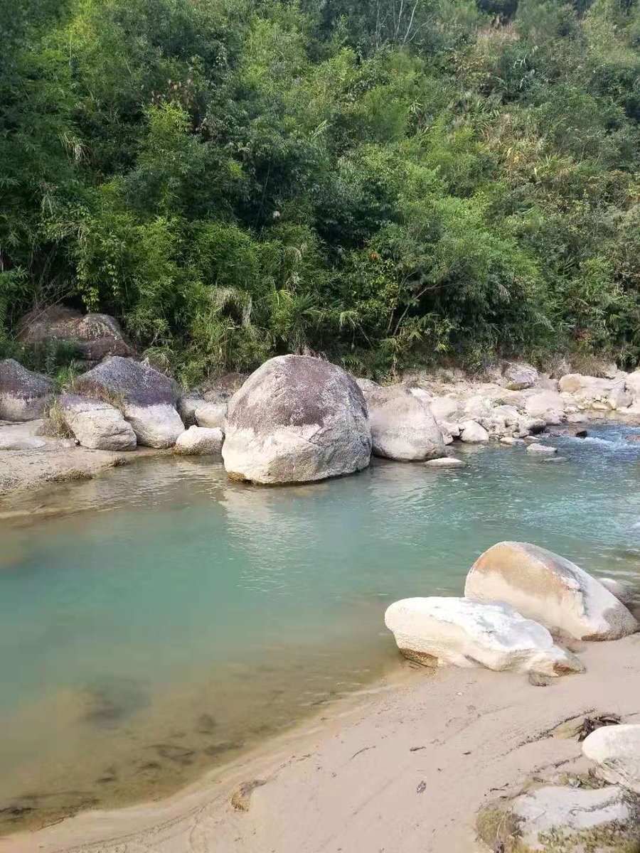 “I like nature, that’s why I chose Weihua to start my career,” says Lin Liqiang, a foreman at Meizhou Weihua Fast-growing Forest Co., Ltd. Ling joined the company in 2004 after graduating in Forestry. #MyForest