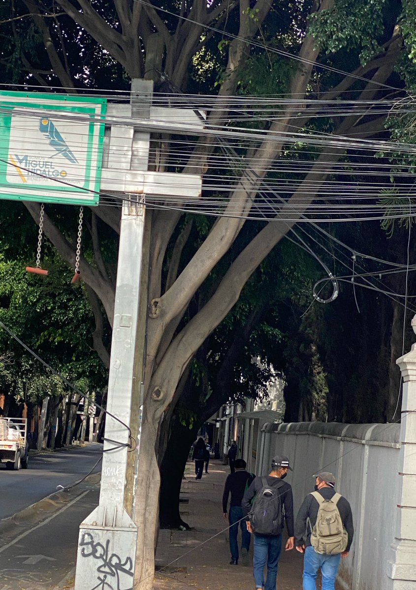 Javier Hidalgo tweet media