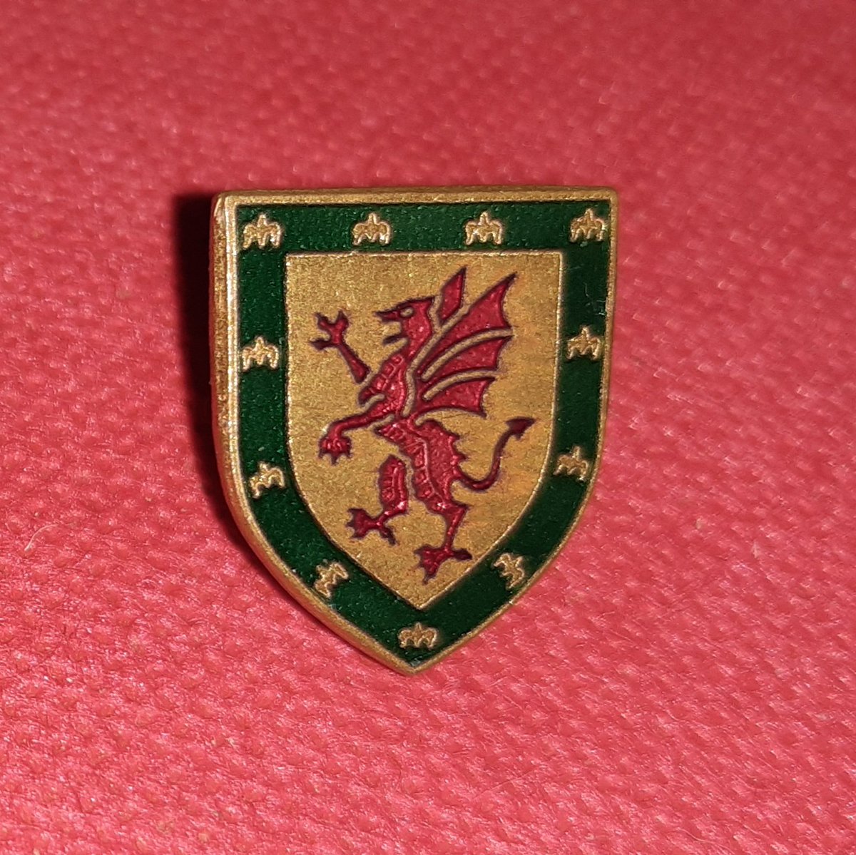 oldwelshpins's tweet photo. Gameday for the Welsh women. π€ π΄σ §σ ’σ ·σ ¬σ ³σ Ώ
.
.
.
.
.
.
#walkaz #fifawwc
#theredwall #ywalgoch #walesaway #togetherstronger #footballpin #pinbadge #bathodyn #oldwelshpin https://t.co/DhugCOIwR4
