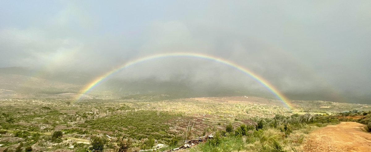 A pot of fun at the end of the rainbow <a href="/AMA_TokaiMTB/">TokaiMTB</a> #Vasbyt